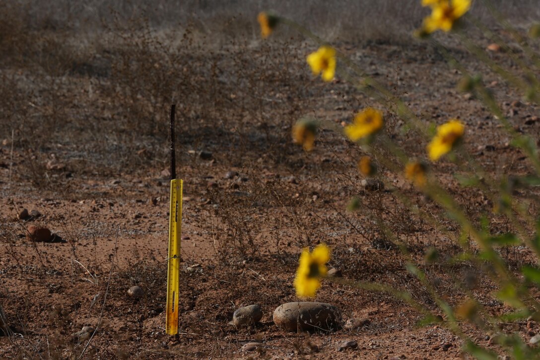 A ruler stands secured to a pole over a vernal pool in a fenced in area aboard Marine Corps Air Station Miramar, Calif., Jan. 22. Rulers like this are used to measure the depth of vernal pools where two endangered species of fairy shrimp can be found. Without water, the fairy shrimp lay dormant in the ground until the pool fills again.
