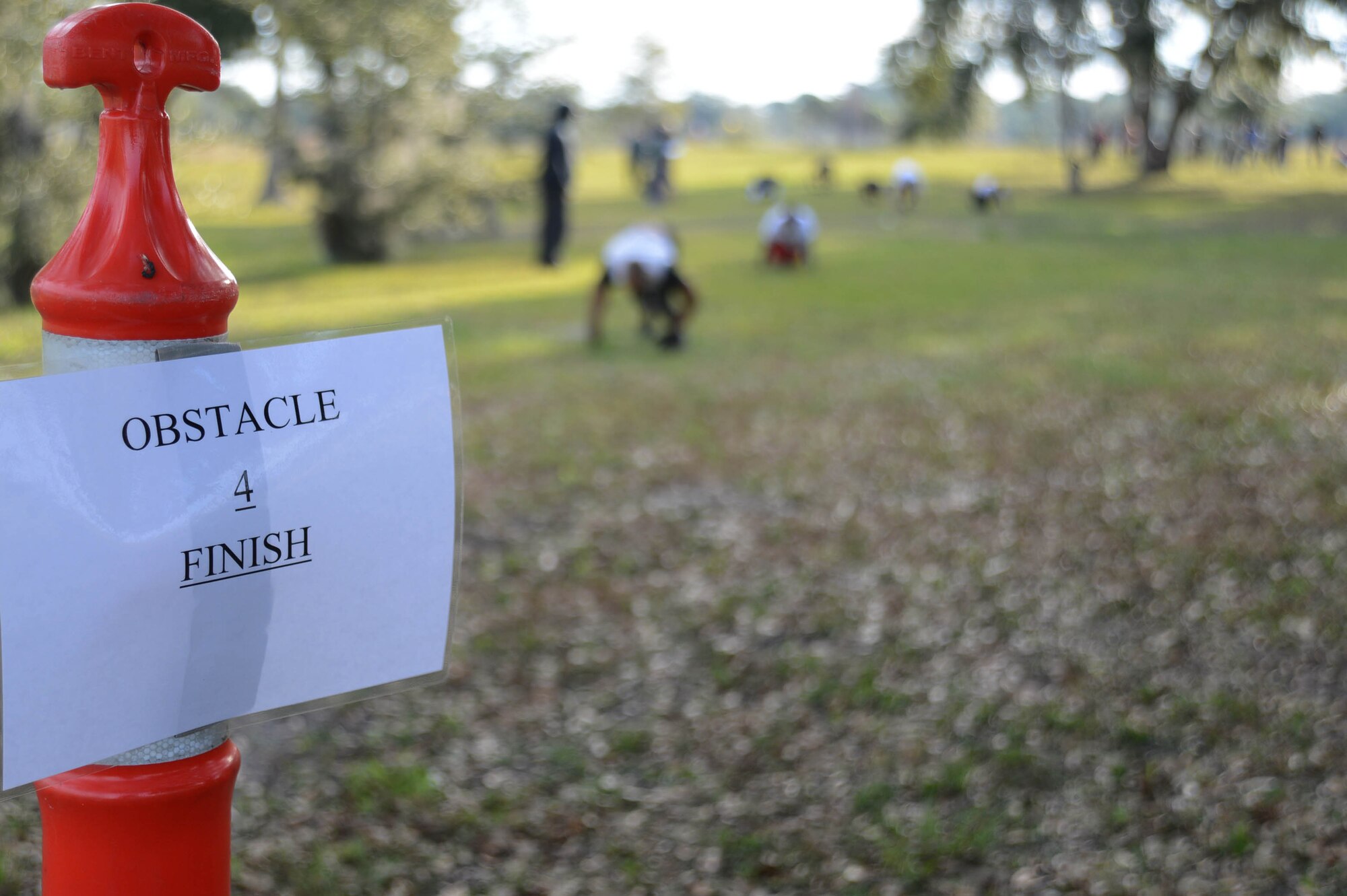 Participants in the Gladiator Assault Challenge perform bear crawls Jan. 24, 2014 at MacDill Air Force Base, Fla. Members of Short Fitness Center hosted its third purple challenge, the Gladiator Assault Challenge, Jan. 24, 2014 at Lewis Lake on MacDill Air Force Base, Fla. (U.S. Air Force photo by Senior Airman Jenay Randolph/Released)