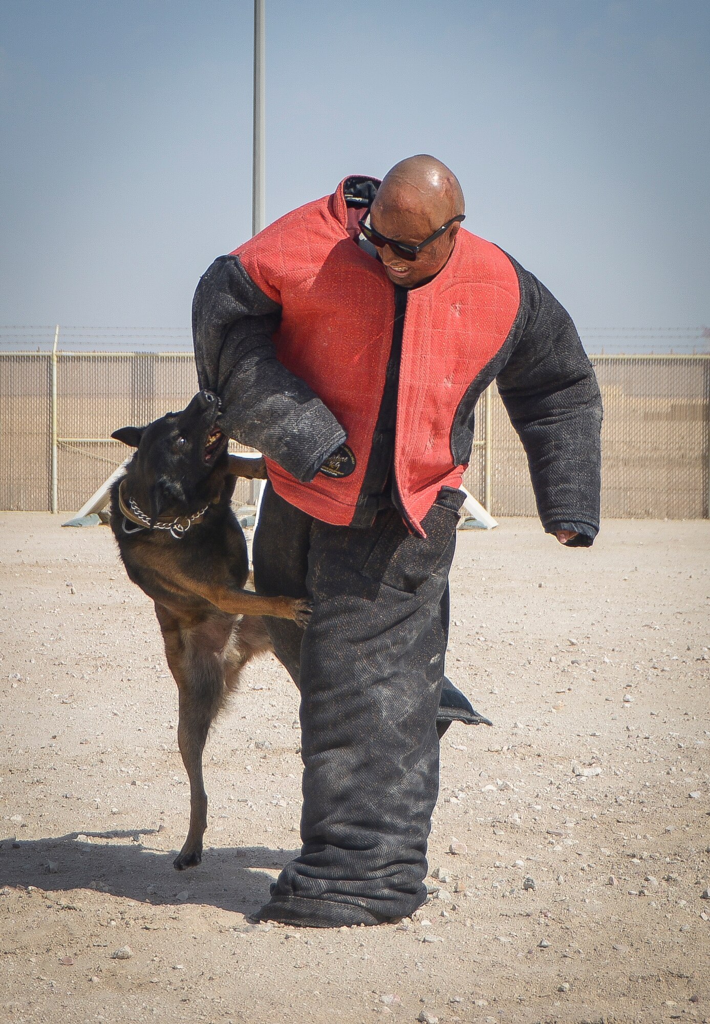 J.R. Martinez, a Soldier who was wounded in 2003 by an improvised explosive device in Iraq, feels the bite force of a military working dog named Duck during a K-9 demonstration at Al Udeid Air Base, Qatar, Jan. 29, 2014. Martinez, who sustained burns to more than 34 percent of his body, discussed his story and how he overcome hardships in his life with the men and women currently deployed to AUAB. Today Martinez is a motivational speaker, actor and works with wounded warriors and burn-survivor victims to help them recover from their external and internal wounds. (U.S. Air Force photo/Senior Airman Jared Trimarchi)