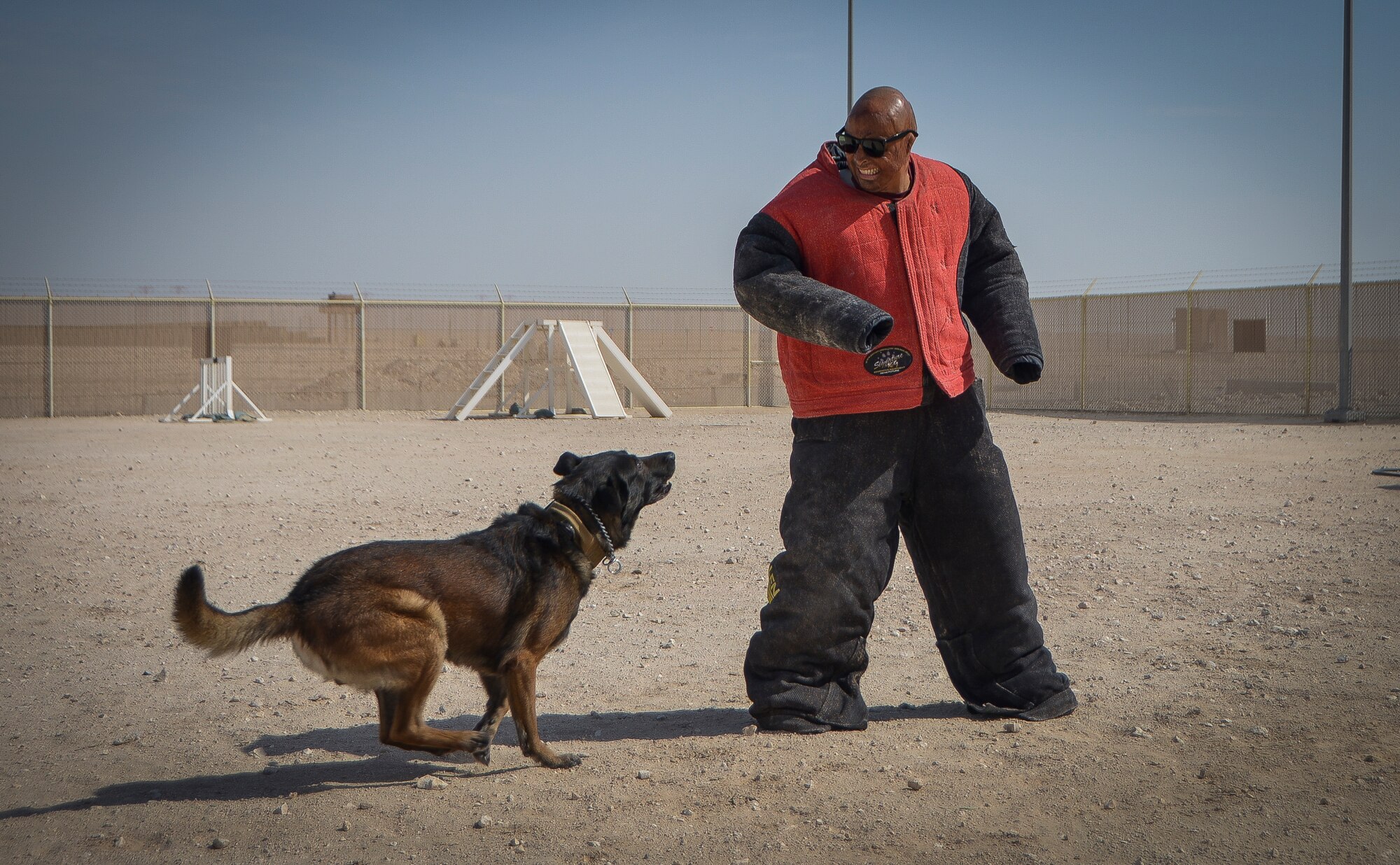 J.R. Martinez, a Soldier who was wounded in 2003 by an improvised explosive device in Iraq, gets attacked by a military working dog named Duck during a K-9 demonstration at Al Udeid Air Base, Qatar, Jan. 29, 2014. Martinez, who sustained burns to more than 34 percent of his body, discussed his story and how he overcome hardships in his life with the men and women currently deployed to AUAB. Today Martinez is a motivational speaker, actor and works with wounded warriors and burn-survivor victims to help them recover from their external and internal wounds. (U.S. Air Force photo/Senior Airman Jared Trimarchi)