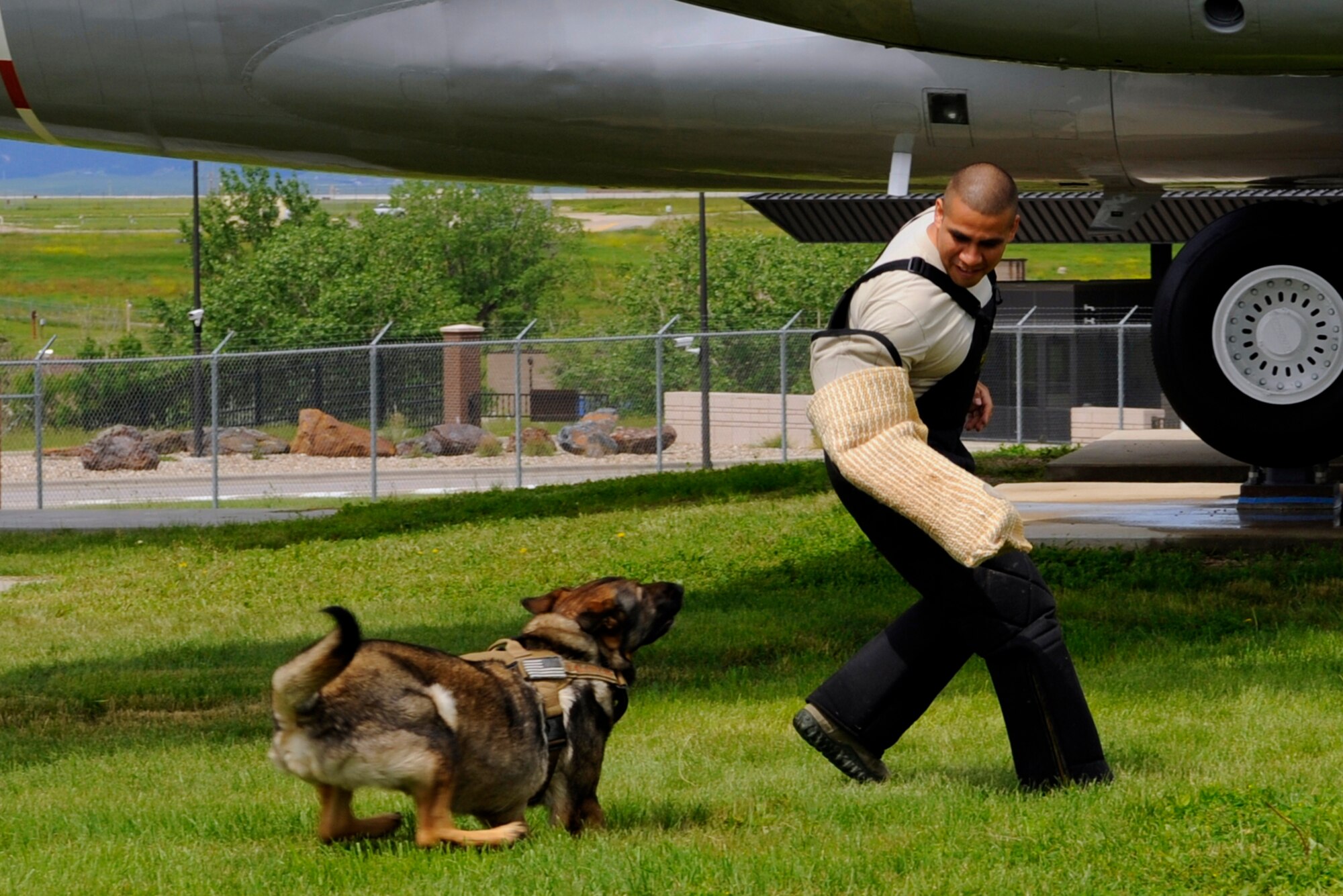 Staff Sgt. Michel Gwin, 28th Security Forces Squadron military working dog handler, attempts to evade Tally, 28th SFS military working dog, during a demonstration at the South Dakota Air and Space Museum, S.D., June 28, 2014. Members of several squadrons from around Ellsworth, in addition to local organizations, partnered with the museum to showcase military professions at its Ellsworth Heritage Day event. (U.S. Air Force photo by 2nd Lt. Rachel Allison/Released)