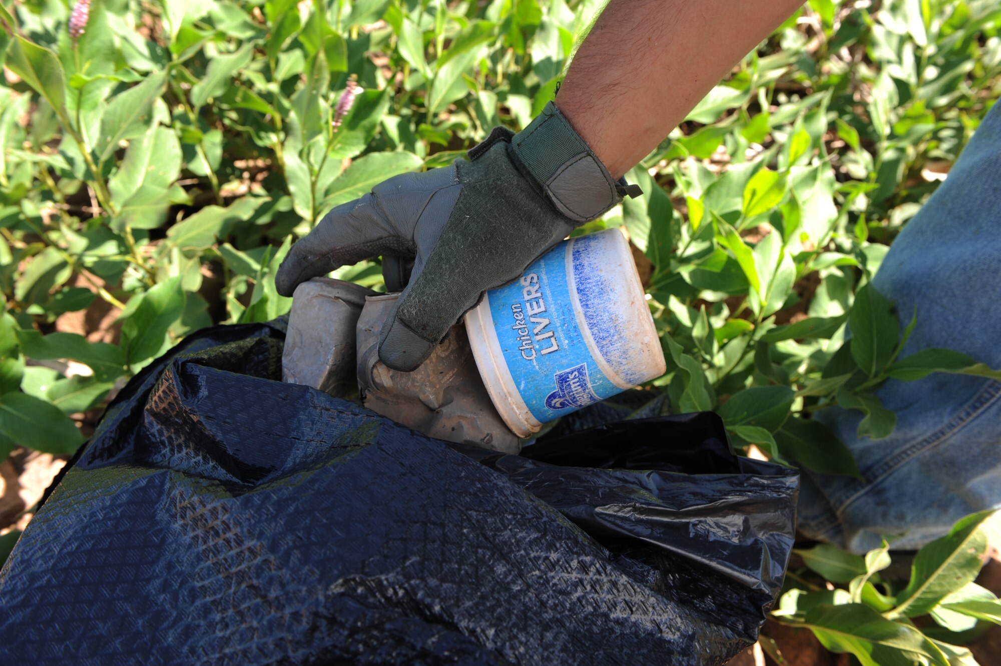 A U.S. Air Force Airman from Dyess Air Force Base fills a bag with garbage gathered from the banks of Kirby Lake, June 14, 2014, in Abilene, Texas. The Airmen volunteered their time to assist The Keep Abilene Beautiful organization, who coordinates clean-ups around Abilene to improve the look of the city. The organization provided trash bags and legal release forms for the volunteers. (U.S. Air Force photo by Airman 1st Class Alexander Guerrero/Released)