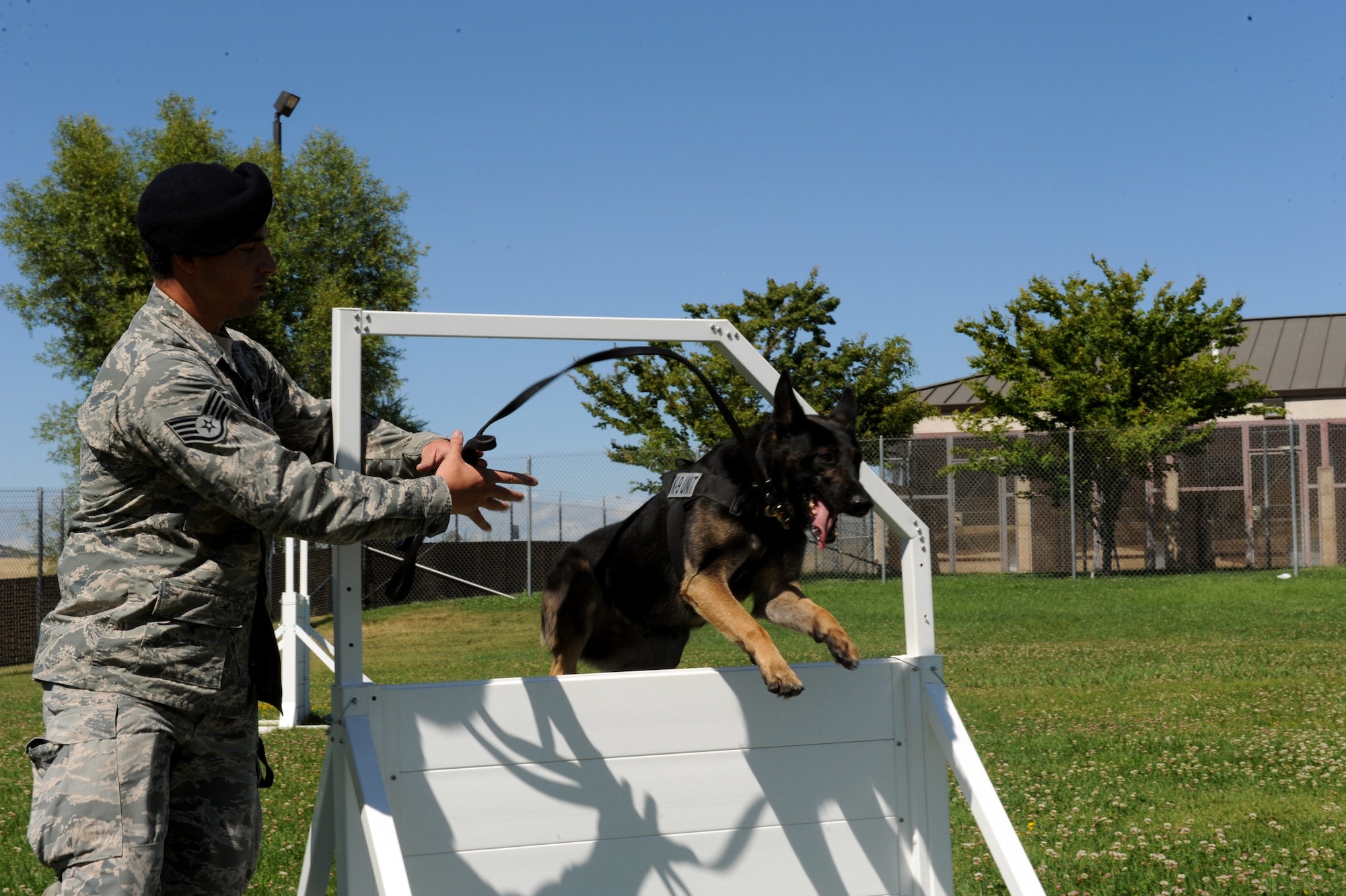 Staff Sgt. Nicholas Frustaci, 9th Security Forces Squadron military working dog handler, runs Dingo through the obedience course June 17, 2014, at Beale Air Force Base, Calif. Military working dogs and handlers train everyday to stay proficient in a variety of mission tasks. (U.S. Air Force photo by Airman 1st Class Ramon A. Adelan/ released)