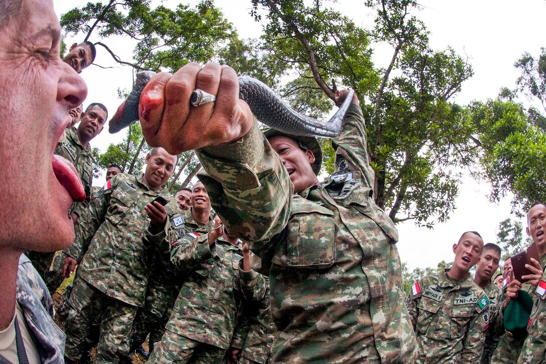 U.S. Army Sgt. Michael J. MacLeod, left, drinks the blood of a cobra during jungle survival training taught by Indonesian Army paratroopers as part of Garuda Shield 2013 bilaterial training in Cilodong, Indonesia, June 12, 2013. MacLeod, a public affiars combat correspondent, is assigned to the 82nd Airborne Division’s 1st Brigade Combat Team. 