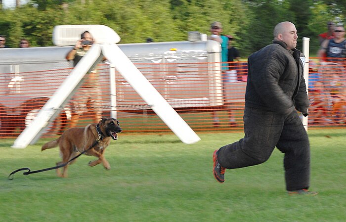 Pablo, a Belgian Malinois, chases Cpl. Erin Zupko, civilian working dog handler, K-9 section, Marine Corps Police Department, Marine Corps Logistics Base Albany, during a military working dog demonstration at MCLB Albany’s annual Independence Day celebration, here, June 27.