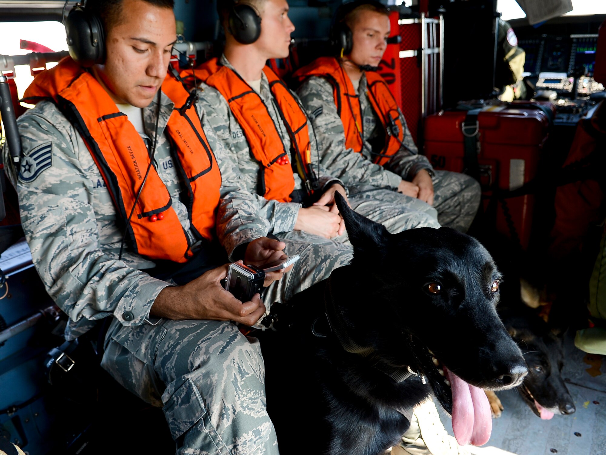 Jimmy, 6th Security Forces Squadron military working dog, sits with his handler during a helicopter ride with the U.S. Coast Guard Air Station in Clearwater, Fla., June 30, 2014. Exposing a dog to the noise and high altitude uses successive approximation to acclimate the dog, which is crucial when deployed. (U.S. Air Force photo by Senior Airman Melanie Bulow-Gonterman/Released)