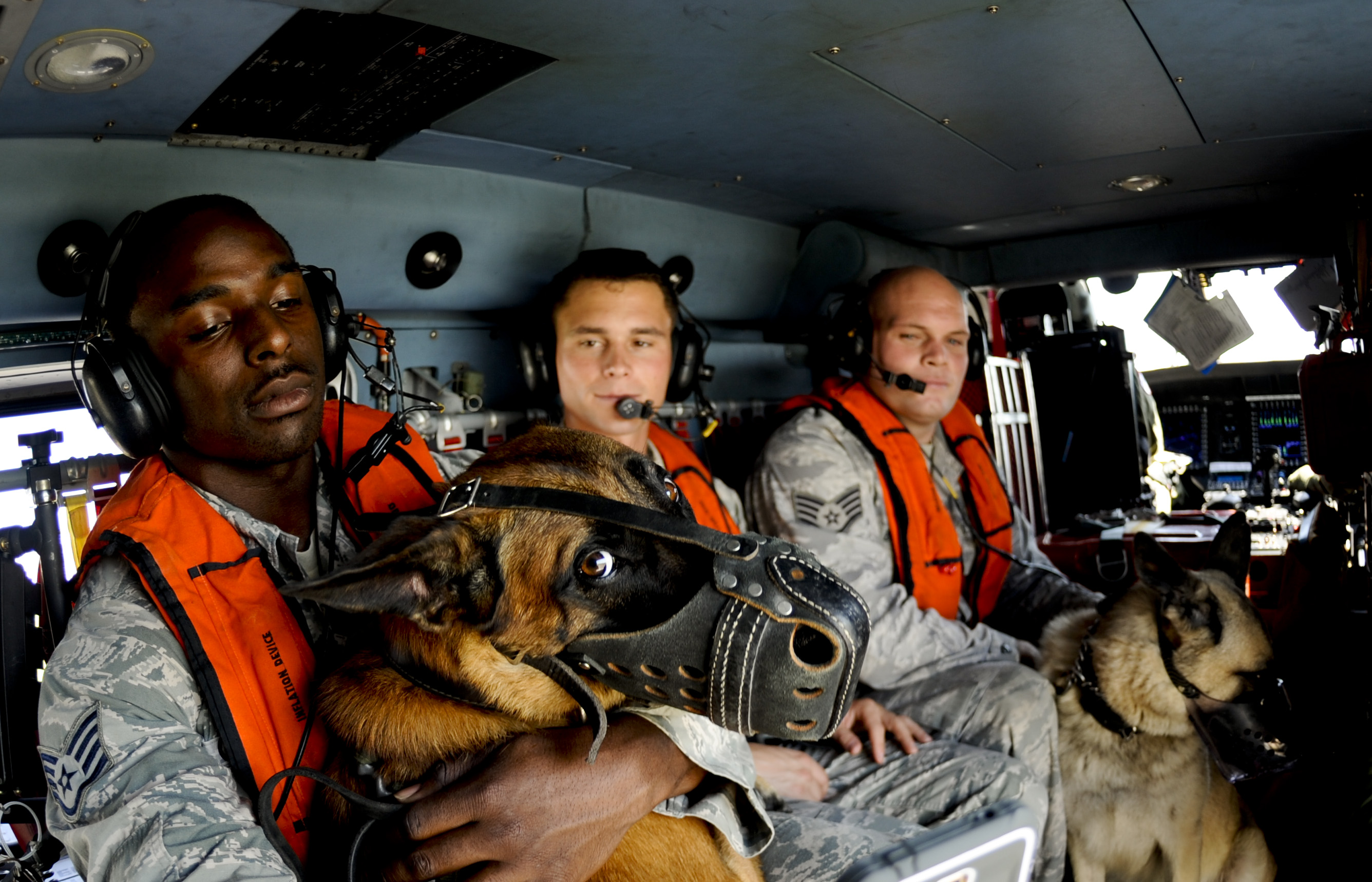 Coast guard sales dogs helicopter