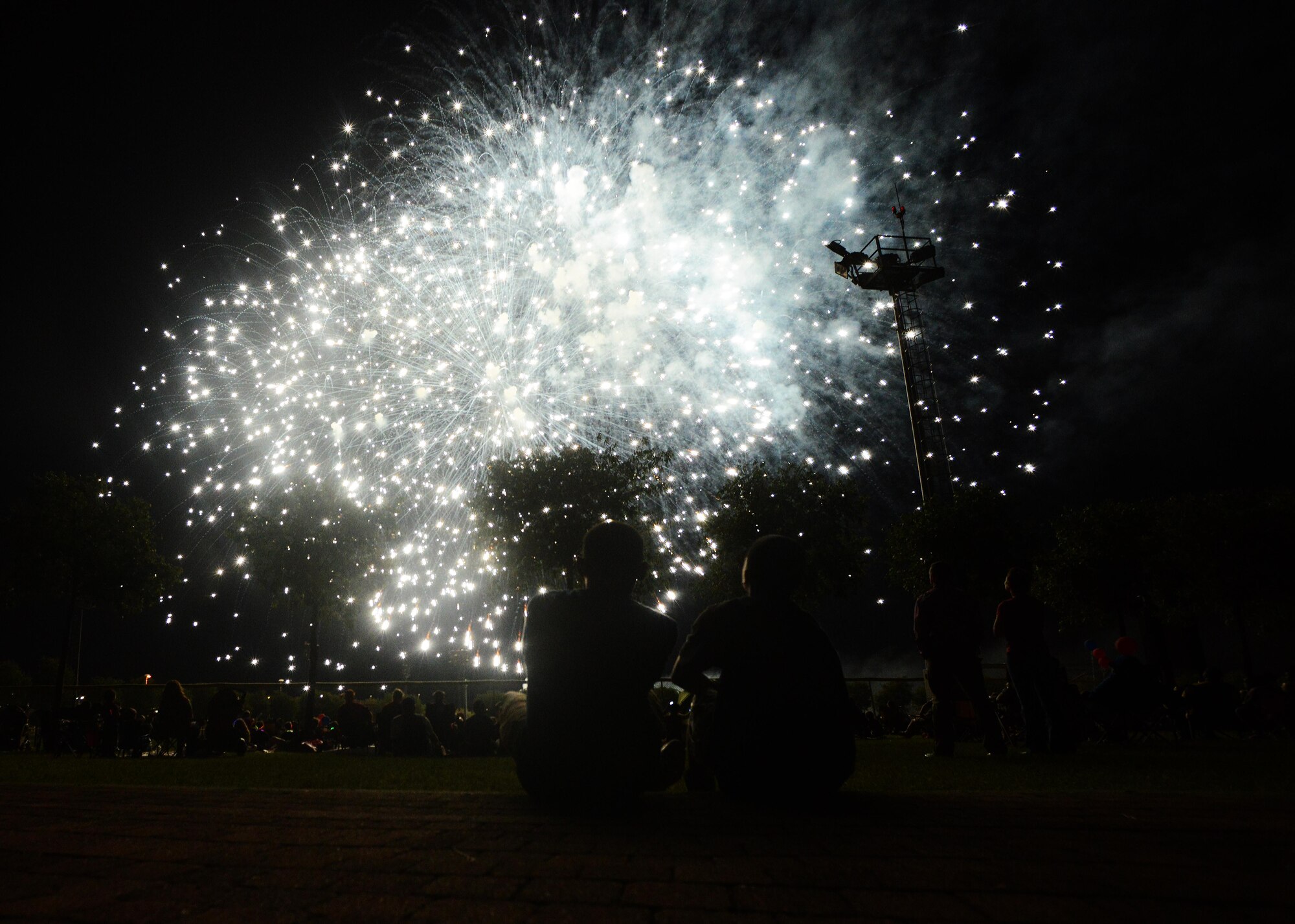 Fireworks light up the sky during a Fourth of July Celebration, July 4, 2014, at Aviano Air Base, Italy. The 31st Fighter Wing hosted approximately 4,000 American and Italian family members for an Independence Day celebration. (U.S. Air Force photo/Airman 1st Class Deana Heitzman)  