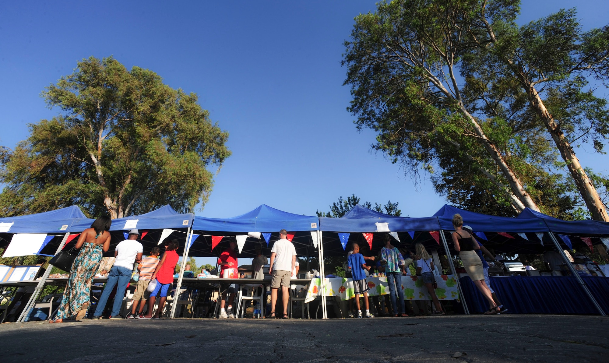 Private organizations serve food and drinks during the Independence Day celebration July 4, 2014,  Incirlik Air Base, Turkey.  As well as the food and drinks, there was live musical entertainment performed  by American Idol semifinalist Ayla Brown.  (U.S. Air Force photo by Senior Airman Nicole Sikorski/Released) 