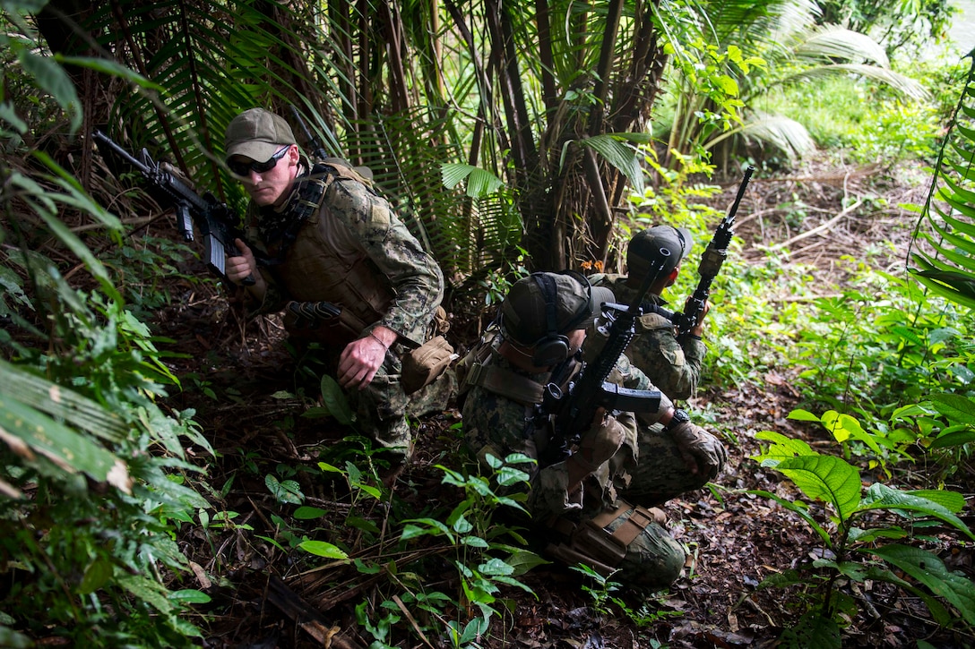 U.S. sailors crouch in the jungle during insertion and extraction ...