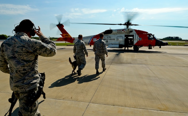 Military working dog handlers with the 6th Security Forces Squadron lead their dogs walk toward a Sikorsky MH-60T Jayhawk during a training session with the U.S. Coast Guard June 30, 2014, at Air Station Clearwater, Fla. The training allowed the handlers to evaluate their four-legged partners’ reactions when exposed to the loud noise along with the high altitude. (U.S. Air Force photo/Senior Airman Melanie Bulow-Gonterman)