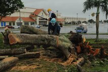 Members of the 18th Civil Engineer Squadron cut up a tree that fell just outside the Exchange parking lot on Kadena Air Base, Japan, July 9, 2014.This typhoon was the first one to hit Kadena during the 2014 typhoon season. Typhoon Neoguri blew over hundreds of trees around base and left many without power. (U.S. Air Force photo by Airman 1st Class Stephen G. Eigel)