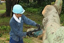 A member from the 18th Civil Engineer Squadron cuts up a tree that fell near the Exchange parking lot on Kadena Air Base, Japan, July 9, 2014. The tree fell during Typhoon Neoguri, the first typhoon to hit Kadena during the 2014 season. Typhoon Neoguri hit Kadena with wind gusts of over 100 knots and 34 inches of rain flooding parts of the base. (U.S. Air Force photo by Airman 1st Class Stephen G. Eigel)