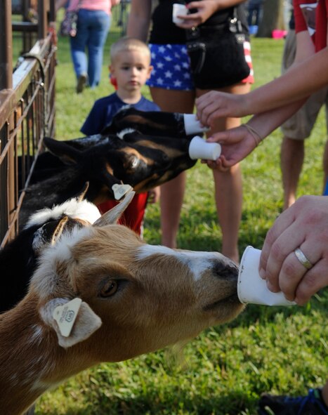 Goats from the petting zoo stick their heads out of the fence for a chance to be fed by Whiteman families during the Independence Day Celebration at Ike Skelton Lake, July 2, 2014. There were several activities for families to enjoy before fireworks began at dark. (U.S. Air Force photo by Staff Sgt. Alexandra M. Boutte/Released)