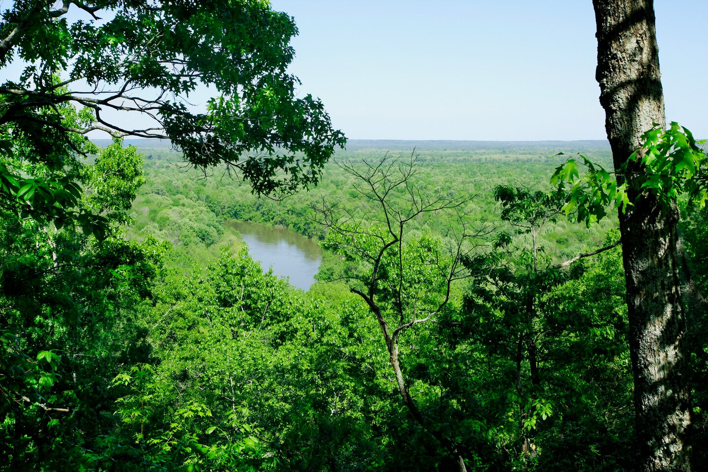 The regulatory team recently took a site visit to the mitigation sites proposed for the proposed Haile Gold Mine project. The sites would be used to complete restoration and enhancement projects to make up for filling wetlands on the proposed project site.