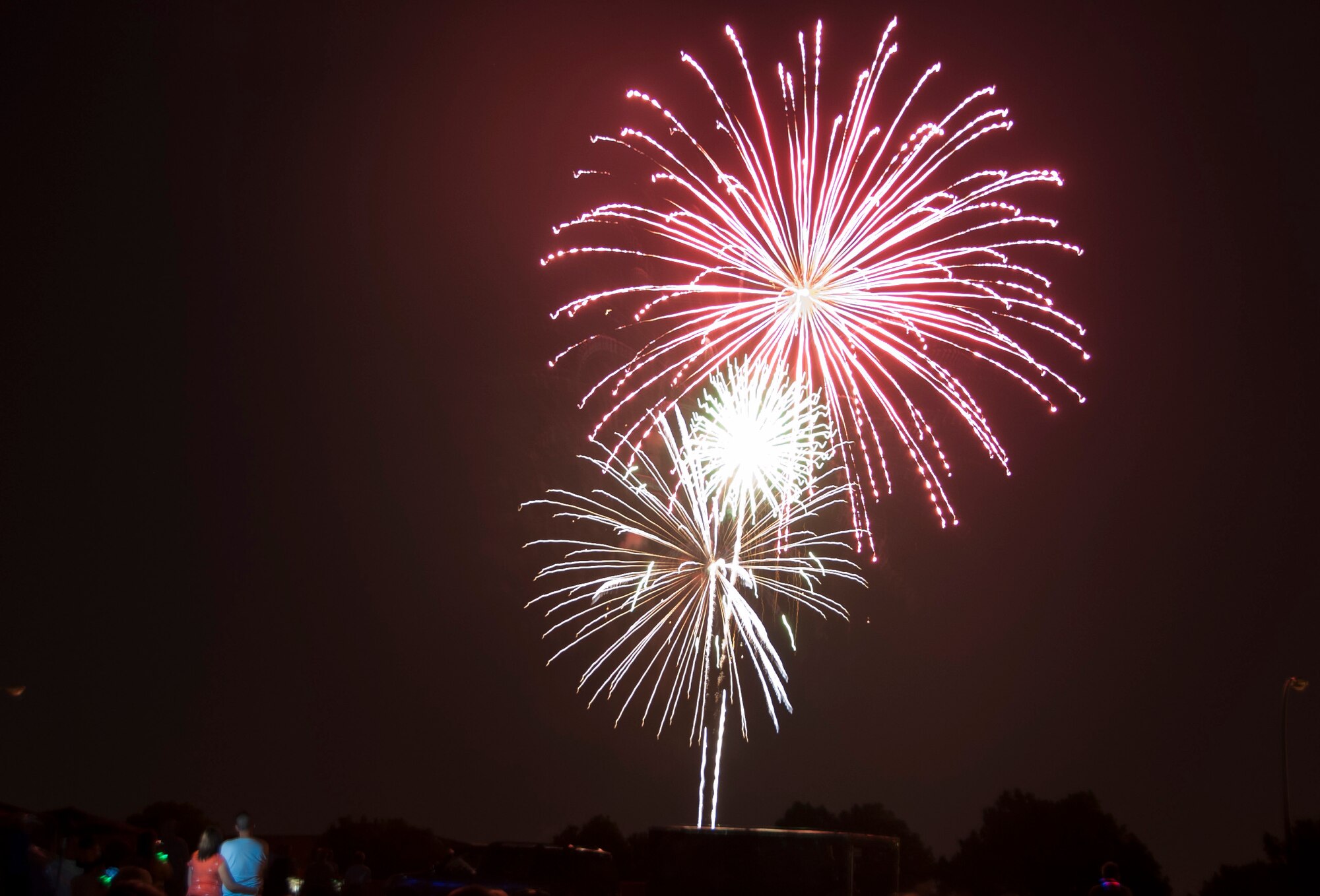 Fireworks light up the sky during Freedom Fest at Sheppard Air Force Base, Texas, July 4, 2014.  The event was intended community and base morale. (U.S. Air Force photo/Airman 1st Class Robert L. McIlrath)
