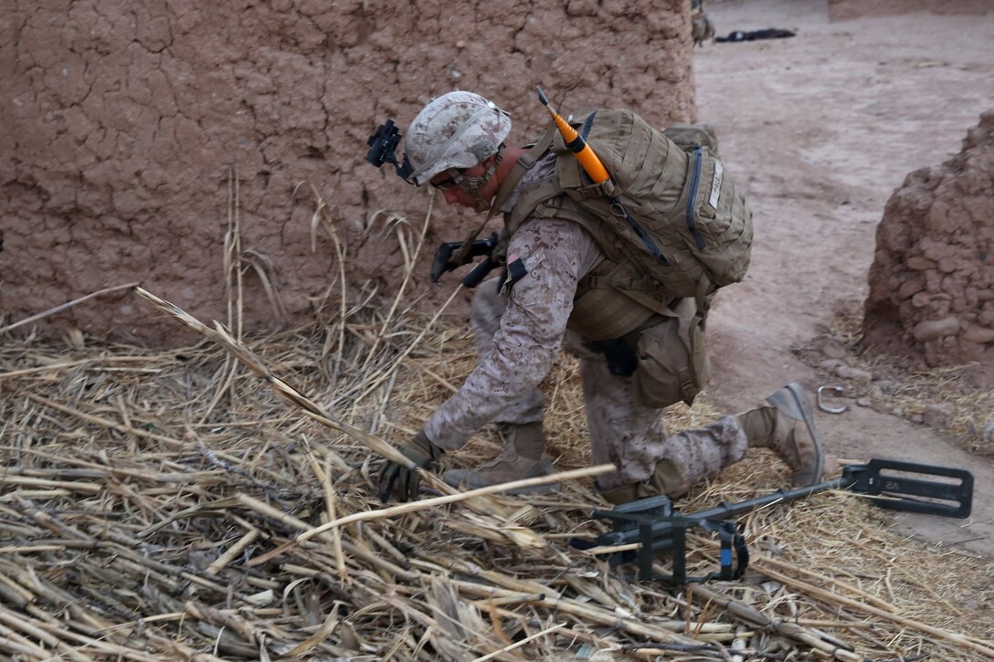 U.S. Marine Corps Lance Cpl. Kevin Paul searches a pile of dead vegetation for dangerous materials during a mission in Helmand province, Afghanistan, July 4, 2014. Paul is a combat engineer assigned to Bravo Company, 1st Battalion, 7th Marine Regiment.