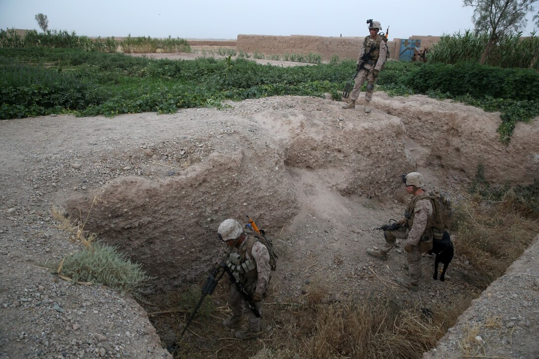 Marines with Bravo Company, 1st Battalion, 7th Marine Regiment, search an empty well for nefarious materials during a mission in Helmand province, Afghanistan, July 4, 2014. The company operated in Gereshk for three days and was involved in numerous kinetic engagements with Taliban insurgents.
(U.S. Marine Corps photo by Cpl. Joseph Scanlan / released)