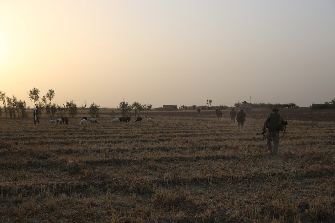 Marines with Bravo Company, 1st Battalion, 7th Marine Regiment, patrol across a field to their next objective during a mission in Helmand province, Afghanistan, July 5, 2014. The company operated in Gereshk for three days and was involved in numerous kinetic engagements with Taliban insurgents. (U.S. Marine Corps photo by Cpl. Joseph Scanlan / released)