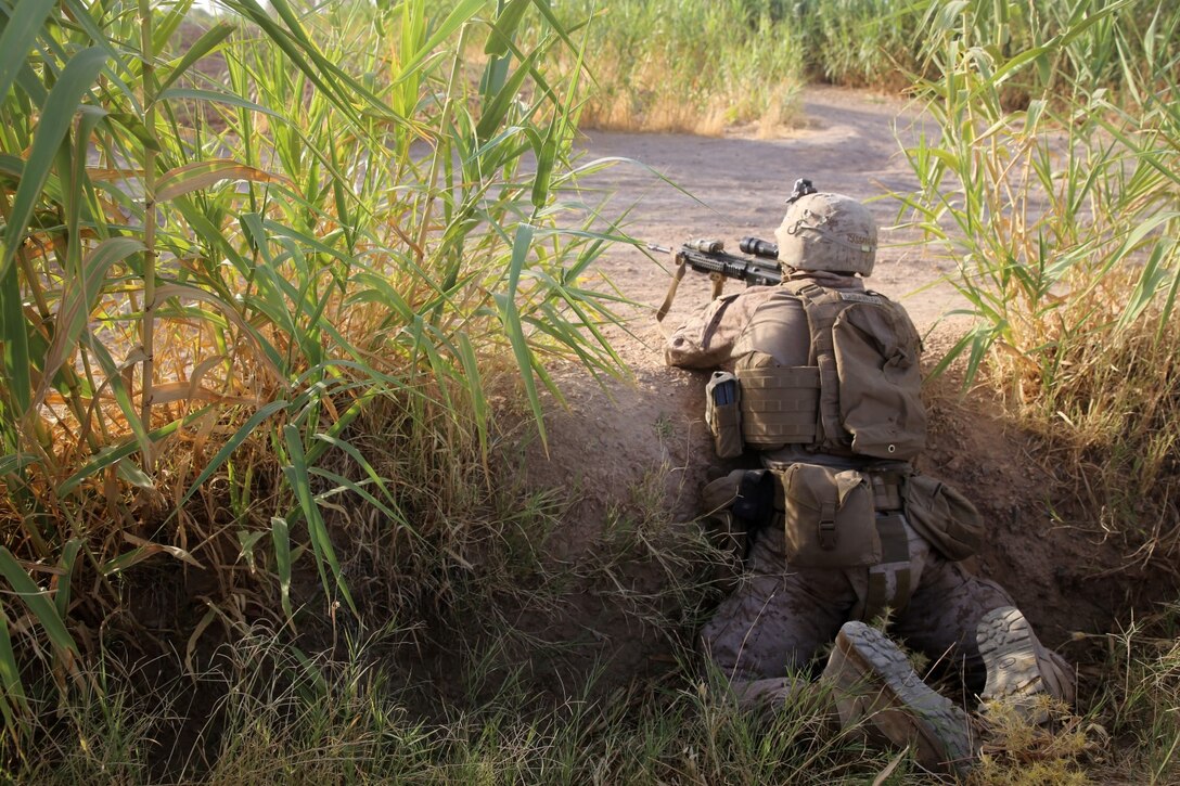 Lance Cpl. Cam Cassavaugh, automatic rifleman, Bravo Company, 1st Battalion, 7th Marine Regiment, provides security with an M27 Infantry Automatic Rifle during a mission in Helmand province, Afghanistan, July 6, 2014. Cassavaugh, a native of Concord, N.H., and the company operated in Gereshk for three days and were involved in numerous kinetic engagements with Taliban insurgents.
(U.S. Marine Corps photo by Cpl. Joseph Scanlan / released)
