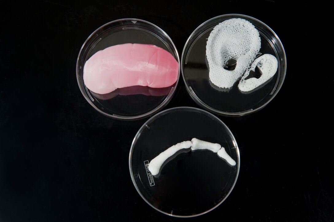 Scientists at the Wake Forest Institute for Regenerative Medicine print ear, finger bone and kidney structure scaffolds using a 3-D printer. The U.S. Army is a significant proponent and investor in regenerative medicine and 3-D bioprinting, according to officials. Scientists are aiming to advance this new research area to help injured service members recover from the wounds of war. (Courtesy photo)