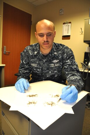 Petty Officer 3rd Class Kyle Price, Naval Health Clinic Charleston preventive medicine technician, counts and identifies mosquito specimens recently collected from one of five mosquito surveillance traps at Joint Base Charleston. NHCC preventative medicine technicians provide surveillance for five areas throughout the Weapons Station, setting up Center of Disease Control light traps that lure and capture mosquitos so they can be counted, deciphered according to species and sex, and sent to labs to be tested. Naval Weapons Station Charleston.  (U.S. Navy photo/ Kris Patterson)