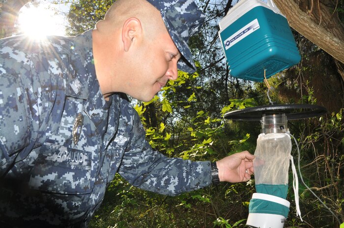 Petty Officer 2nd Class Wilson Araujo, Naval Health Clinic Charleston preventive medicine technician, sets a mosquito surveillance trap at a heavily populated mosquito area recently on Joint Base Charleston - Weapons Station, S.C. NHCC preventative medicine technicians provide surveillance for five areas throughout the Weapons Station, setting up Center of Disease Control light traps that lure and capture mosquitos so they can be counted, deciphered according to species and sex, and sent to labs to be tested.. (US Navy photo by Kris Patterson)