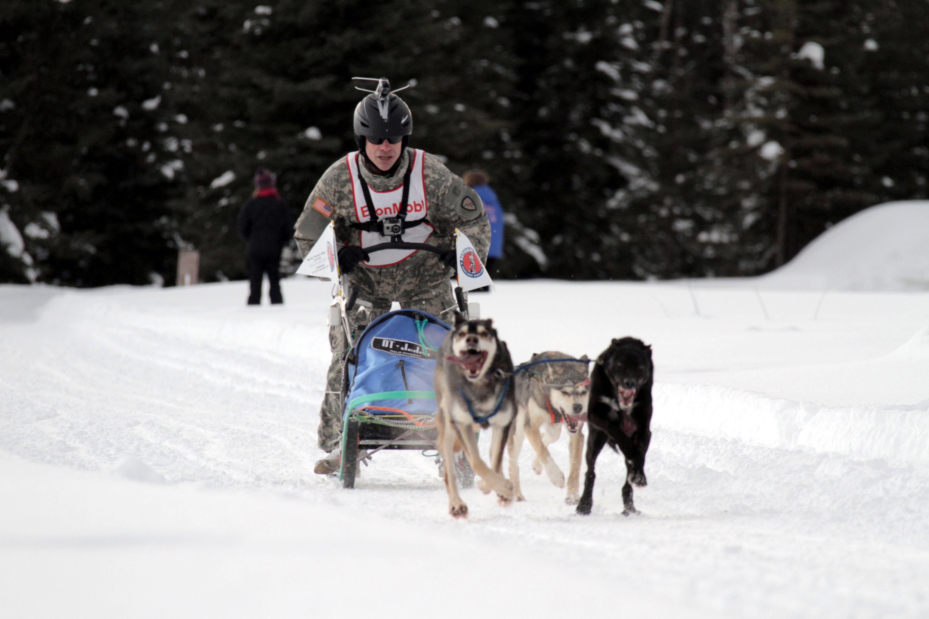 bid afstemning Læne Alaska National Guard member wins "Top Brass" Charity Sled Dog Race >  National Guard > Guard News - The National Guard