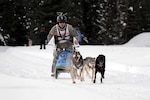 Army Maj. Gen. Thomas H. Katkus, adjutant general of the Alaska National Guard, races to the finish line during the "Top Brass" Charity Sled Dog Race held at Tozier Track, Anchorage, Alaska, Feb. 11, 2012.
