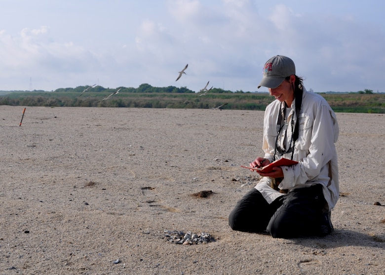 Ellie Covington, a biologist with the U.S. Army Corps of Engineers Savannah District, monitors bird nests at the newly-constructed 12A bird island, May 30, 2014. 