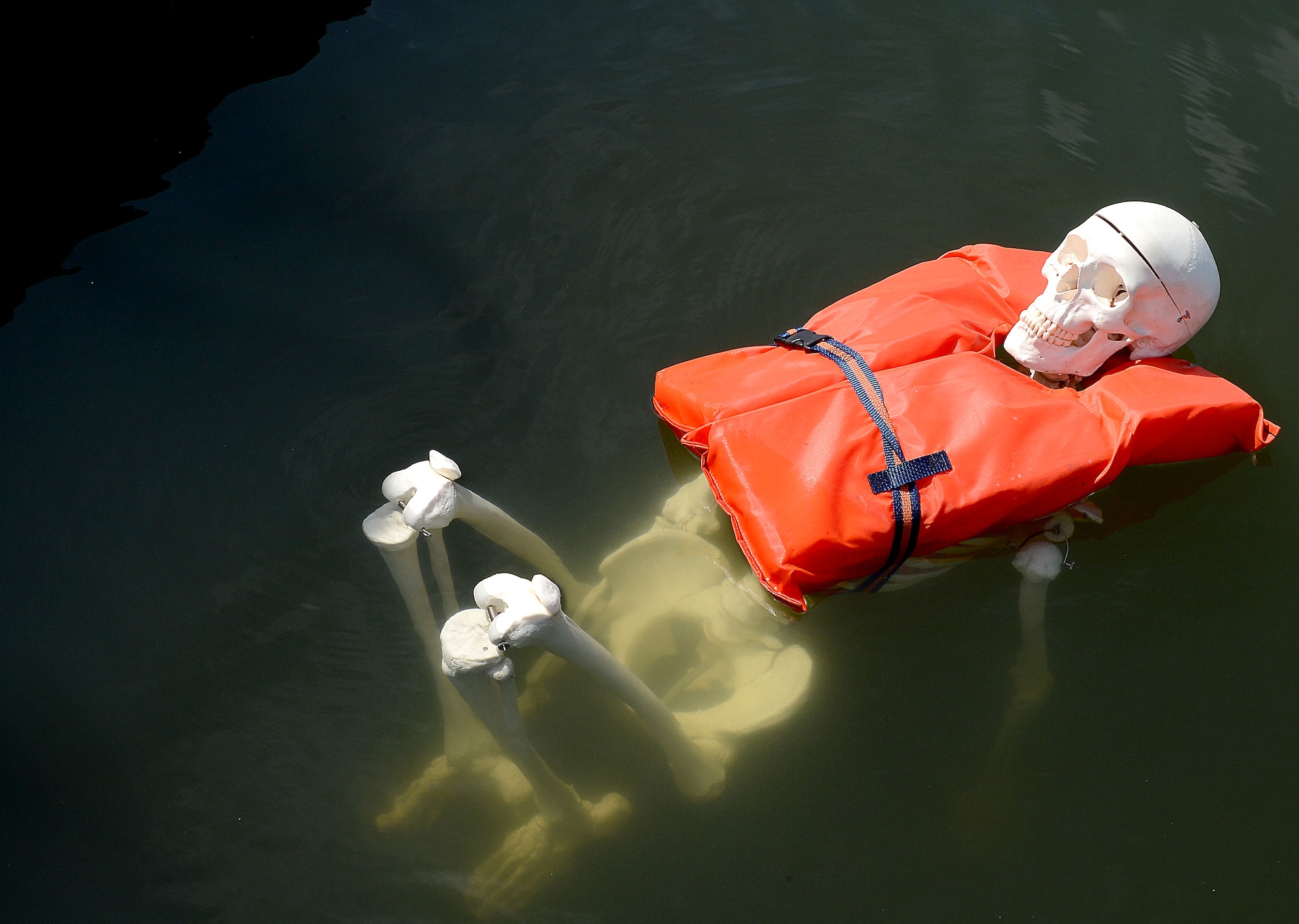 MacBones, 6th Air Mobility Wing safety skeleton, floats in the water at MacDill Air Force Base, Fla., June 26, 2014. Children and inexperienced swimmers should wear approved life jackets when in or near water. (U.S. Air Force photo by Staff Sgt. Brittany Liddon/Released)