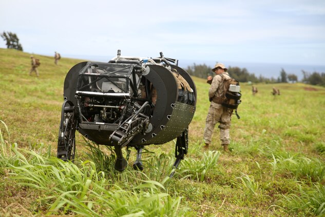KAHUKU TRAINING AREA, Hawaii - Lance Cpl. Brandon Dieckmann, an infantryman with 3rd Battalion, 3rd Marine Regiment, India Co., leads the Legged Squad Support System through an open field at Kahuku Training Area July 10, 2014. The LS3 is experimental technology being tested by the Marine Corps Warfighting Lab as part of the Advanced Warfighting Experiment during Rim of the Pacific 2014.  There are multiple technologies being tested during RIMPAC, the largest maritime exercise in the Pacific region. This year's RIMPAC features 22 countries and around 25,000 people. (U.S. Marine Corps photo by Sgt. Sarah Dietz/RELEASED)