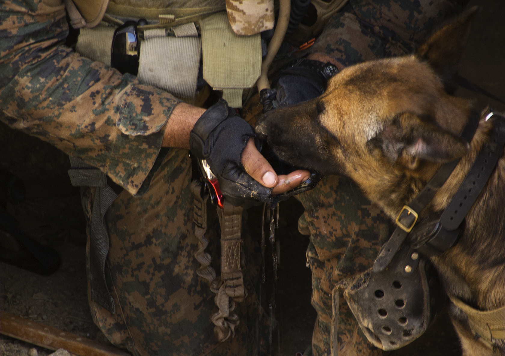 Marines.mil - Photos