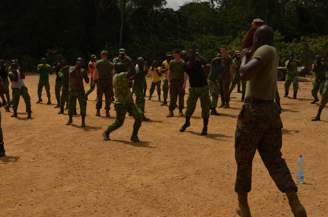 Sergeant Detren Tate, a Marine with Special-Purpose Marine Air-Ground Task Force Africa 14, instructs members of a task force in Gabon in Marine Corps Martial Arts Programs techniques, June 4, 2014. A team of 15 Marines and sailors trained with their Gabonese counterparts from the Agence Nationale des Parcs Nationaux and the Gabonese military and Gendarmerie to demonstrate tactics that could then be applied to combat all types of illicit activities, to include narcotics trafficking.
