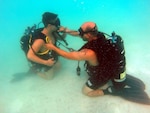 Citizen-Soldiers assigned to the 232nd Engineer Dive Detachment, 92nd Maneuver Enhancement Brigade, Puerto Rico National Guard, conduct water familiarization training at the pool in Camp Santiago Joint Maneuver Training Center, July 8, 2014. 