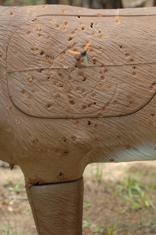Base Sets Deer Hunting Requirements