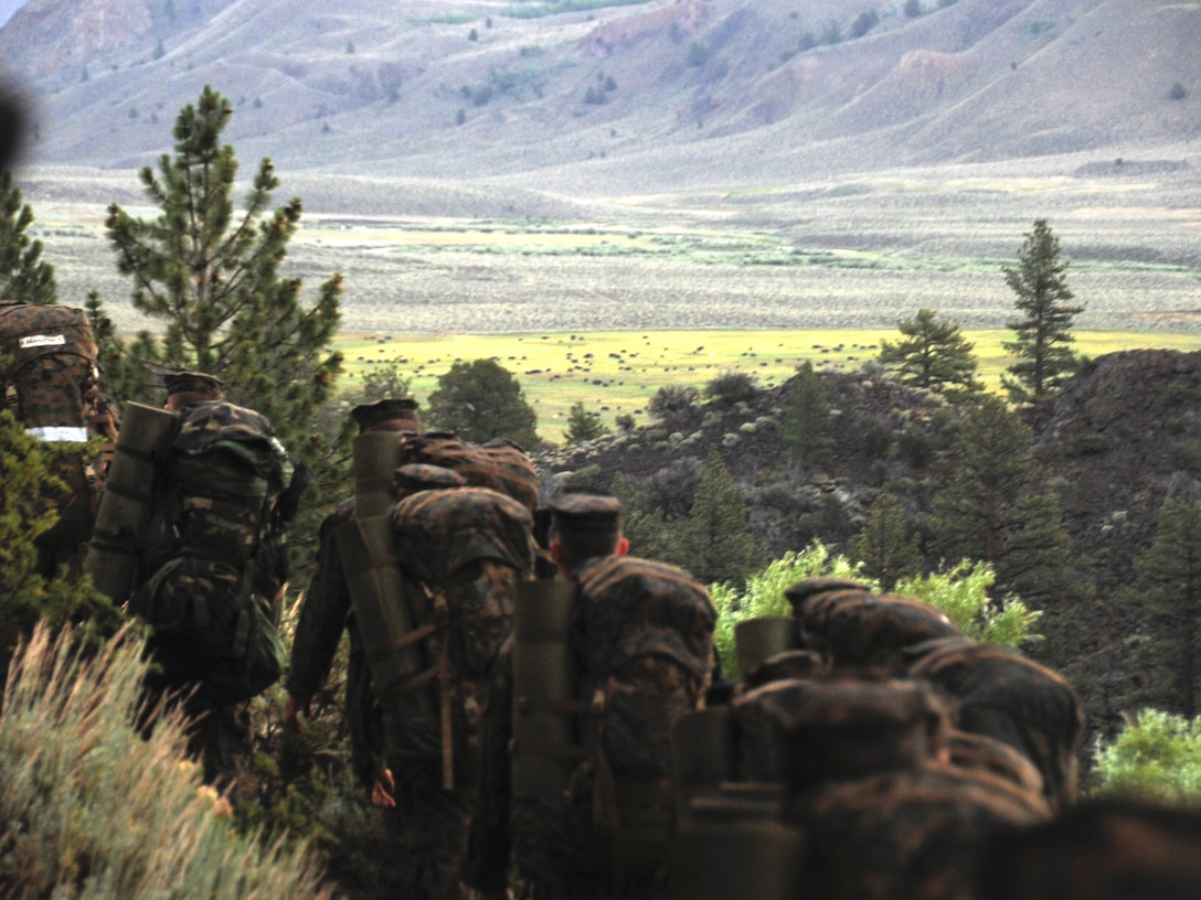 Naval Reserve Officers Training Corps and U.S. Naval Academy midshipmen hike at Marine Corps Mountain Warfare Training Center, Bridgeport, Calif. July 14. The 155 midshipmen spend 10 days at MCMWTC learning survival and tactical skills in a mountainous environment for summer training. (Official U.S. Navy photo by Lt. Matthew Comer)