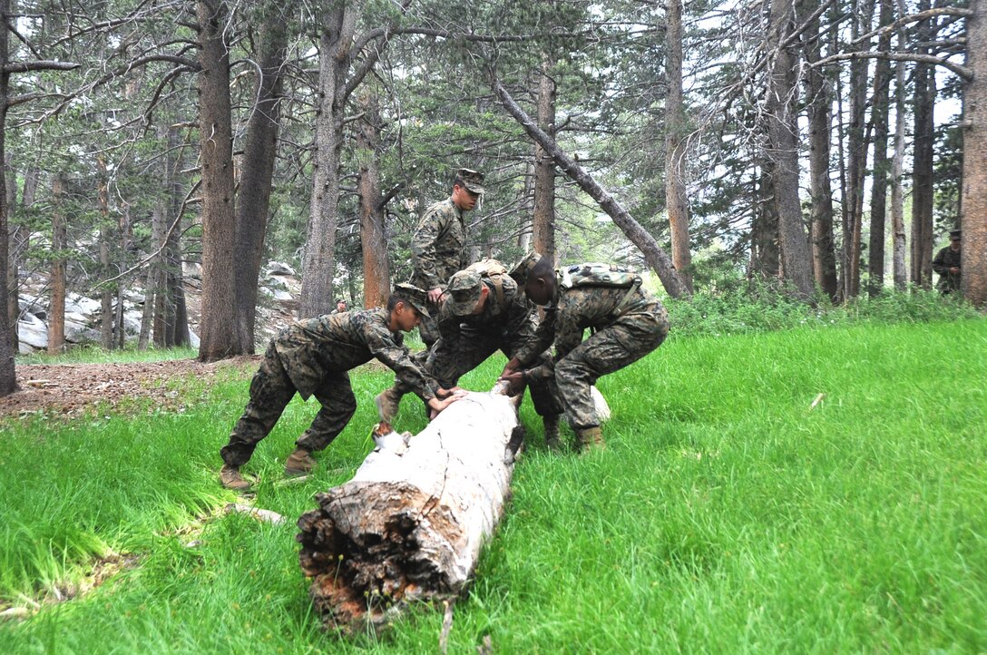 Naval Reserve Officers Training Corps midshipmen move a log to build a survival shelter. The midshipmen trained at Marine Corps Mountain Warfare Training Center Bridgeport, Calif. and were taught survival and tactical skills in a mountainous environment, July 15. The 10-day training period was part of the annual summer training for 155 midshipmen. (Official U.S. Navy photo by Lt. Matthew Comer)