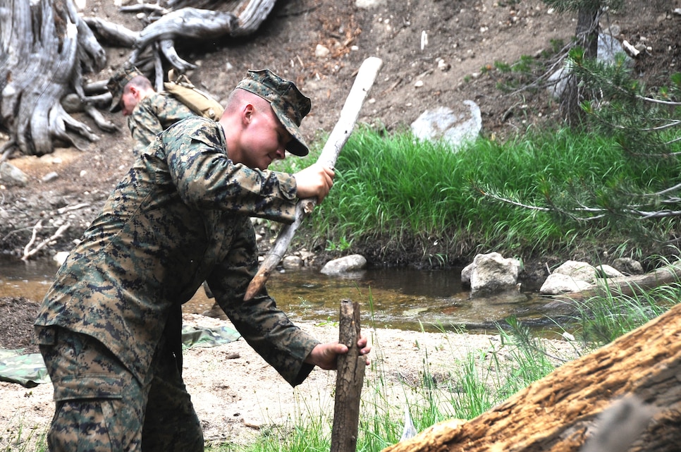 A Naval Reserve Officers Training Corps midshipman 2nd class builds a survival shelter. The midshipman trained at Marine Corps Mountain Warfare Training Center Bridgeport, Calif. and was taught survival and tactical skills in a mountainous environment, July 15.  The 10-day training period was part of annual summer training for 155 midshipmen. (Official U.S. Navy photo by Lt. Matthew Comer)