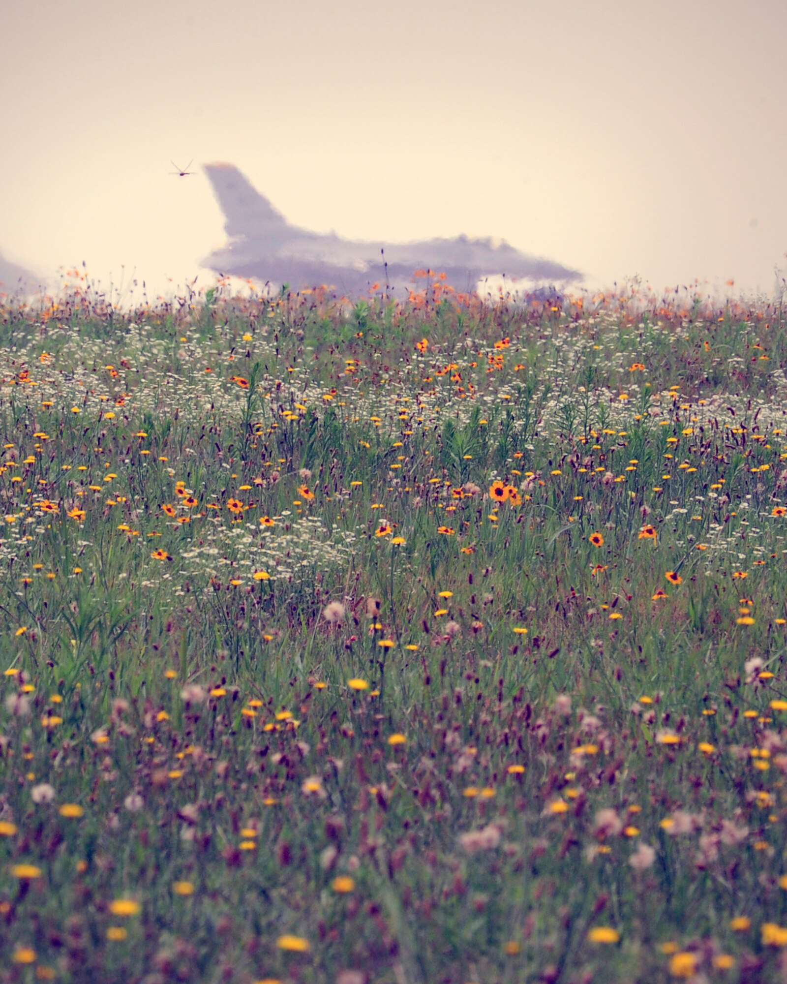 An F-16 Fighting Falcon taxis onto the runway during exercise Beverly Midnight 14-2 at Kunsan Air Base, Republic of Korea, July 16, 2014. The Operational Readiness Exercise assesses mission capabilities and ensures the Wolf Pack is in a constant state of readiness. (U.S. Air Force photo by Senior Airman Taylor Curry/Released) 