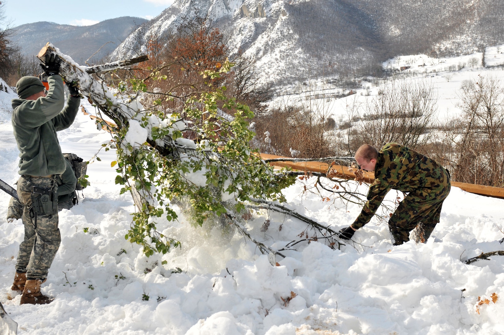U.S. Army Spc. Ronald Williams, an infantryman from the Georgia Army National Guard's 3rd Squadron, 108th Cavalry Regiment, helps remove a tree from a roadblock near Jaringe, Kosovo, Feb. 17, 2012.