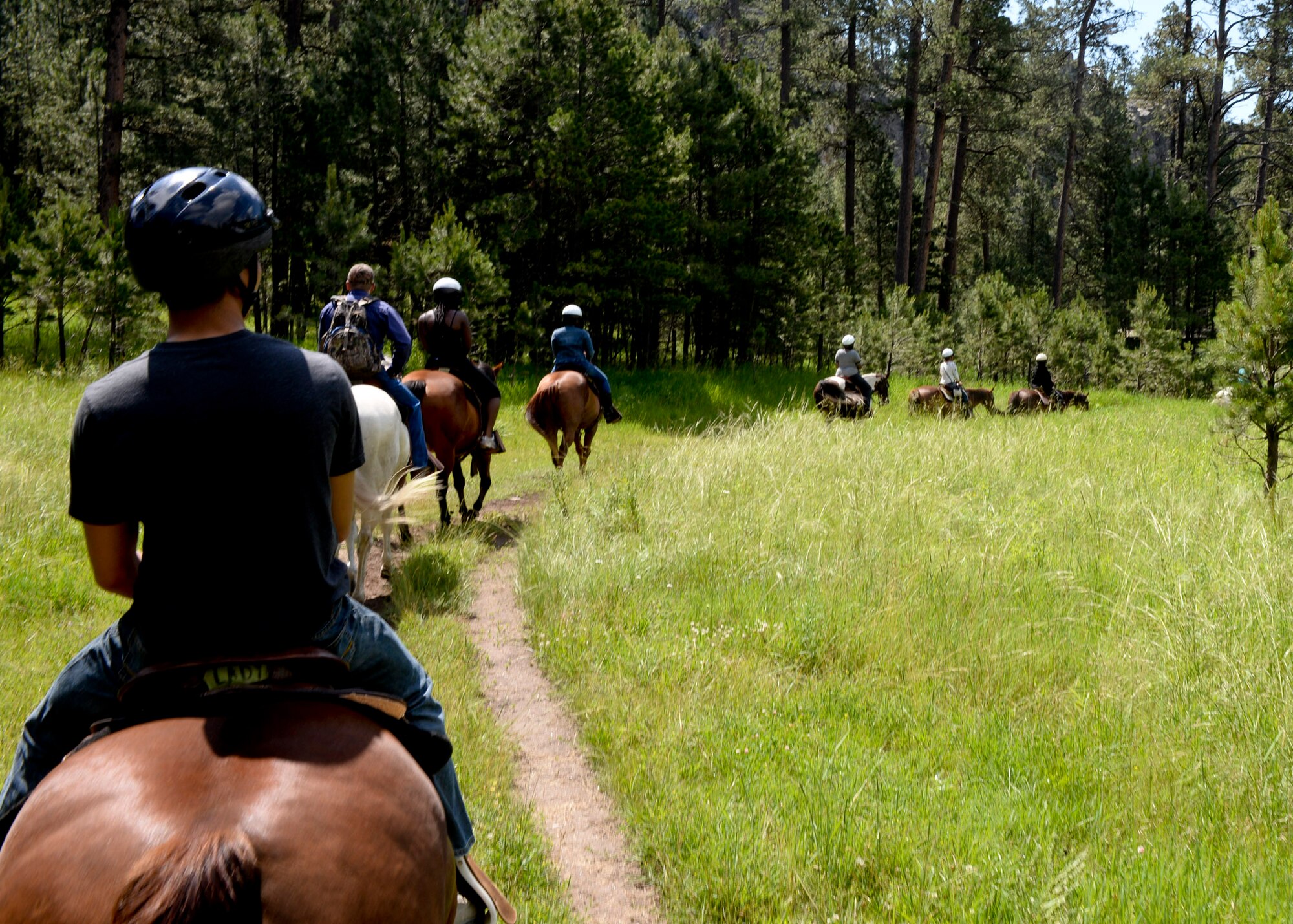 Ellsworth Airmen ride horses through Custer State Park, S.D., July 12, 2014, as part of an activity organized by the 28th Force Support Squadron outdoor recreation staff. The event, free for single Airmen, was designed to encourage participation in outdoor activities. (U.S. Air Force photo by Senior Airman Anania Tekurio/Released) 