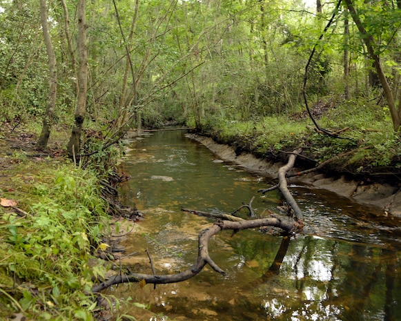 Clean water flows down a drainage ditch near the Ashley Commons housing development outside Joint Base Charleston - Air Base July 21, 2014, following a four-day cleanup effort to remove jet fuel originating from a spill on the base flightline July 16. Crews removed the “booms” that had been laid at this site to catch fuel when conditions improved. (U.S. Air Force Photo/ A1C Sydney Manning)