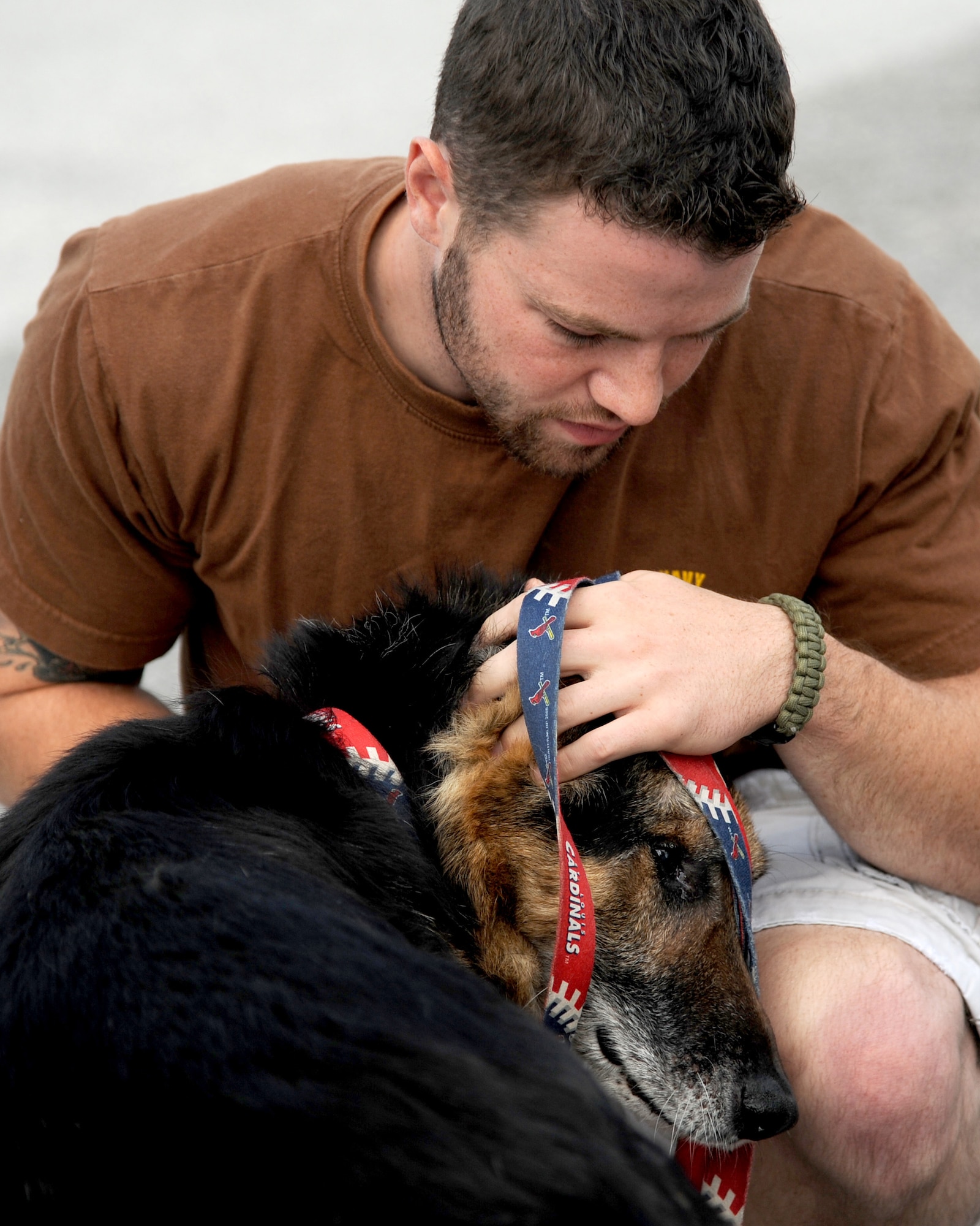 Military working dog Brix receives attention from his handler, Master at Arms Drew Risley, before being put to rest July 18, 2014 at Scott Air Force Base, Ill. Brix's health took a turn for the worse when he started having hip problems. Brix was awarded a Navy Marine Corp Achievement medal and an Army Commendation medal while being deployed in Iraq. He retired in 2011 upon returning from a deployment. (U.S Air Force photo/ Senior Airman Tristin English)