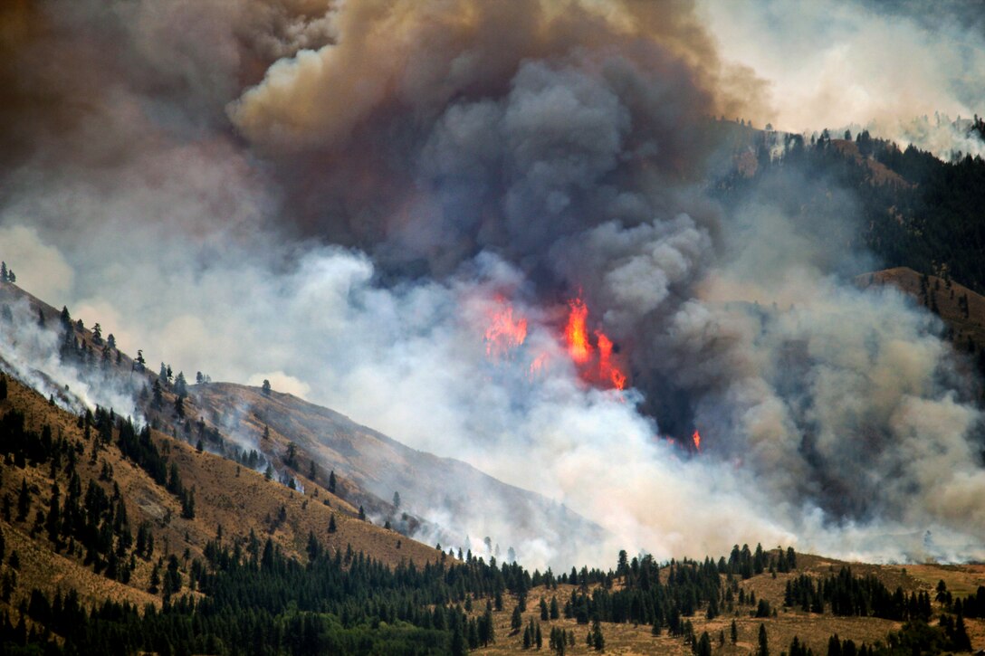 The Carlton Complex fire burns near Winthrop, Wash., July 18, 2014. Soldiers assigned to the Washington National Guard's 66th Theater Aviation Command have been assisting firefighters on the ground.