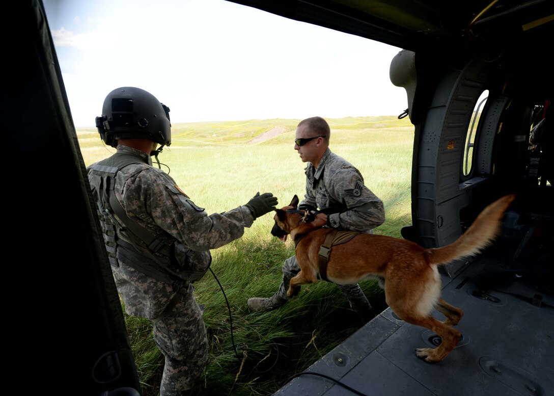 Nnicolas, a narcotics detection Military Working Dog, leaps out of a helicopter with his handler, Staff Sgt. Brian Turney, 28th Security Forces Squadron MWD handler, during a day of training in the outskirts of Rapid City, S.D., July 17, 2014. Helicopter training is one of many types of training MWDs go through to ensure canine teams are prepared to execute their mission in a wide-range of operational environments. (U.S. Air Force photo by Airman 1st Class Rebecca Imwalle/ Released)