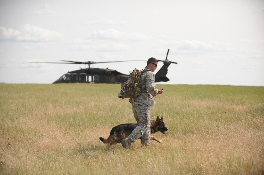 Staff Sgt. John Whisman, 28th Security Forces Squadron Military Working Dog trainer and handler, walks with his dog, Batu, during a day of training in the outskirts of Rapid City, S.D., July 17, 2014. Batu went through helicopter training with the South Dakota National Guard, providing a unique and valuable training opportunity while also strengthening Ellsworth’s partnership with the SDNG. (U.S. Air Force photo by Airman 1st Class Rebecca Imwalle/ Released) 
