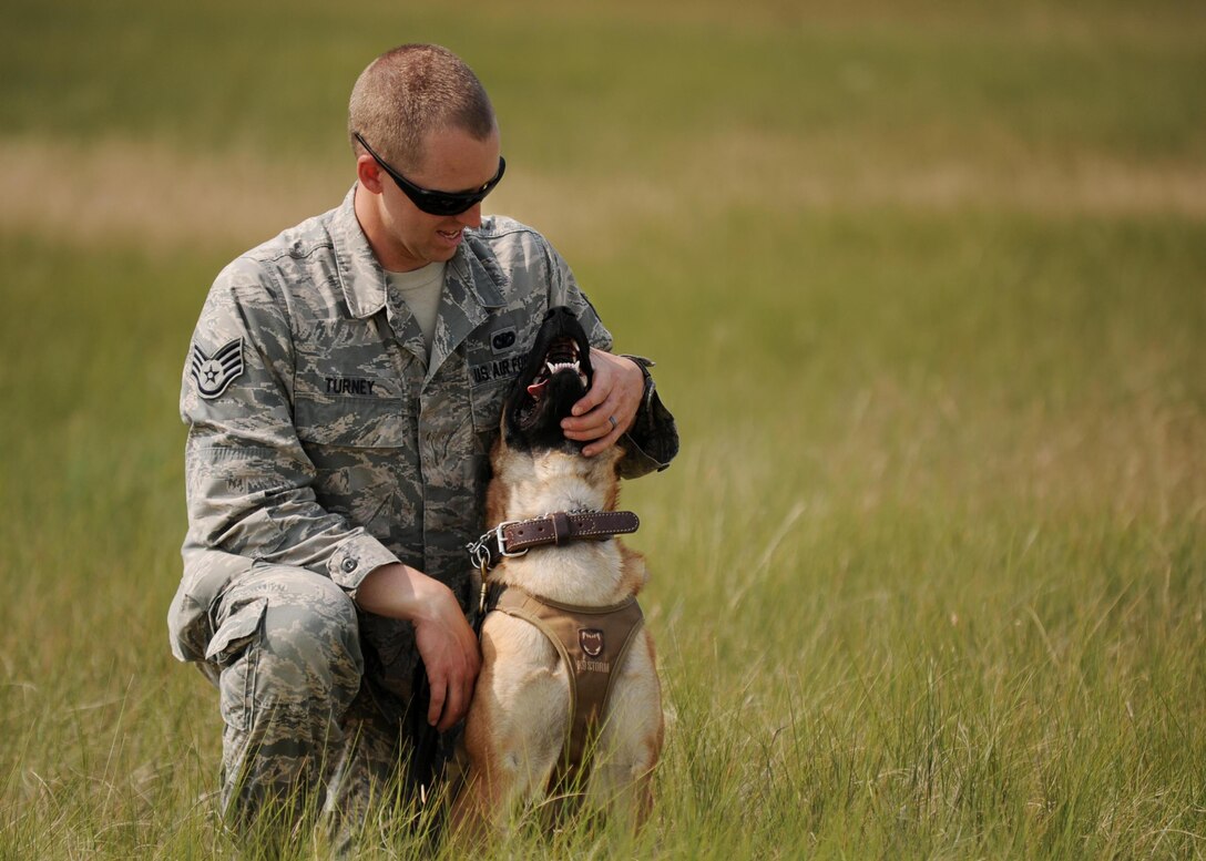 Staff Sgt. Brian Turney, 28th Security Forces Squadron Military Working Dog handler, relaxes with his dog, Nnicholas, during a day of training in the outskirts of Rapid City, S.D., July 17, 2014. During training, it is very important for dogs and their handlers to have time to bond, which increases rapport and trust; ultimately ensuring mission success. (U.S. Air Force photo by Airman 1st Class Rebecca Imwalle/ Released) 