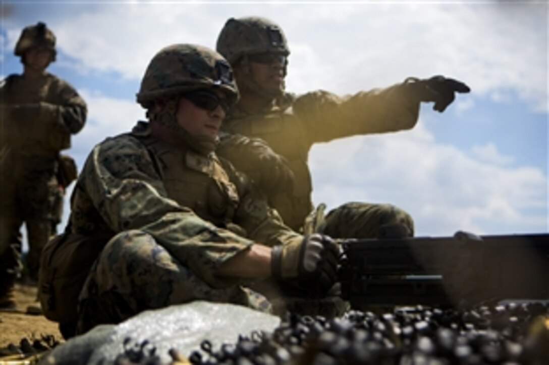 U.S. Marine Corps Lance Cpl. Junior Jack indentifies a target for Cpl. Christian Puttick during a live fire exercise on Novo Selo Training Area, Bulgaria, July 20, 2014. Exercise Platinum Lion 14 allows the Black Sea Rotational Force 14.2 to join with allied forces in the region to build partnerships and enhance interoperability.