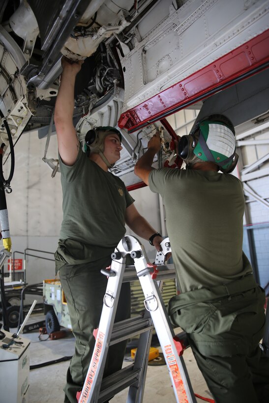 Cpl. Tyler Caldwell, left, and Lance Cpl. Christopher Carter work together to rig a main landing gear forward door underneath an EA-6B Prowler inside the Marine Tactical Electronic Warfare Squadron 2 hangar July 15, 2014. Carter and Caldwell are both airframes mechanics with the squadron.


